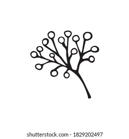 Single hand drawn Christmas branch. Doodle vector illustration for winter greeting cards, posters, wrapping and seasonal design.