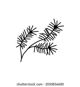 Single hand drawn Christmas pine twig. Holidays doodles vector illustration. Isolated on a white background.