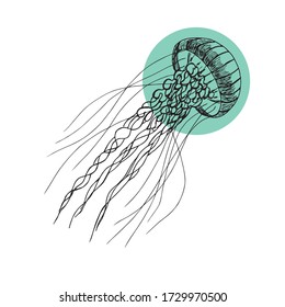 Single hand drawn element of a jellyfish. Doodle hand-draw illustrations in vector. Design for background, packaging, weddings, fabrics, textiles, wallpaper, website, postcards.