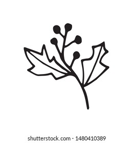 Single hand drawn element of New Year and Xmas Holly branch with berries. Doodle vector illustration. Winter element for greeting cards, posters, stickers and seasonal design.  Isolated on white bac