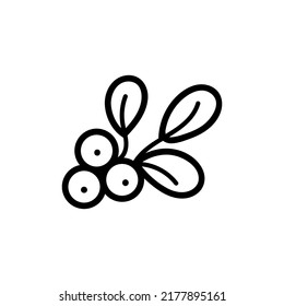 Single hand drawn element of New Year and Christmas Holly branch with berries. Doodle vector illustration. Winter element for greeting cards, posters, stickers and seasonal design. 
