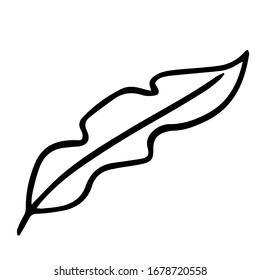Single hand drawn exotic tropical leaf. In doodle style, black outline isolated on a white background. Cute element for cards, posters, social media banners, stickers. Vector illustration.
