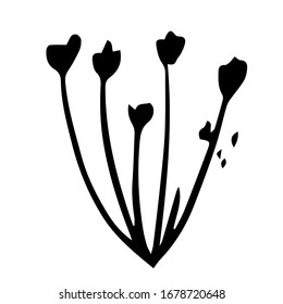 Single hand drawn exotic tropical flower. In doodle style, black outline isolated on a white background. Cute element for cards, posters, social media banners, stickers. Vector illustration.