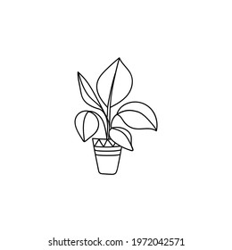 Single hand drawn ficus. Doodle vector illustration. Isolated on a white background.