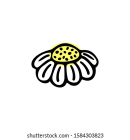 Single hand drawn floral element, chamomile on a white isolated background. Doodle, simple outline illustration.