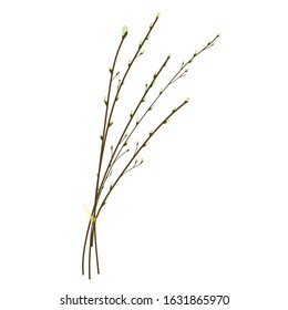 Single hand drawn floral element, willow twig on a white isolated background. Doodle, simple  illustration.