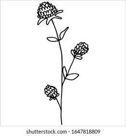 Single hand drawn floral element. Stock isolated flower illustration. Simple line art. Doodle vector illustration for greeting card, logo and wedding design.