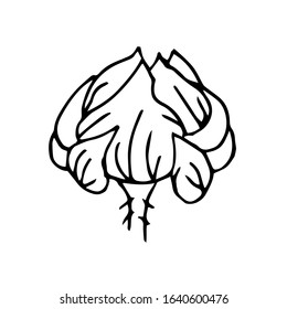 Single hand drawn  flower bud. Doodle vector illustration. Floristic element for greeting cards, posters, stickers and seasonal design. Isolated on white background