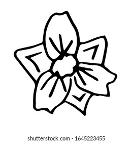 Single hand drawn  flower . Doodle vector illustration. Floristic element for greeting cards, posters, stickers and seasonal design. Isolated on white background