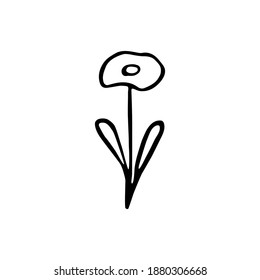 Single hand drawn flower. Doodle isolated on white background. Vector illustration.