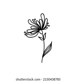 Single hand drawn flower. Doodles vector illustration. Isolated on a white background.