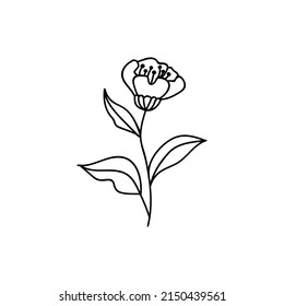 Single hand drawn flower. Doodles vector illustration. Isolated on a white background.