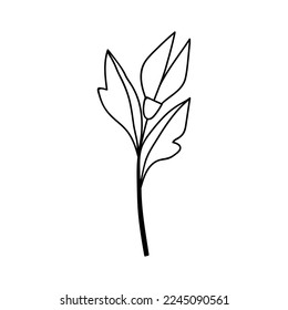 Flor dibujada a mano única. Ilustración vectorial Doodles. Aislado sobre un fondo blanco.