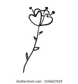 Single hand drawn flower for greeting cards, posters, stickers and seasonal design. Isolated on white background. Doodle vector illustration.