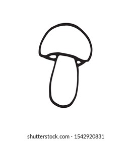 Single hand drawn forest mushroom for autumn decoration. Doodle vector illustration. Isolated on white background