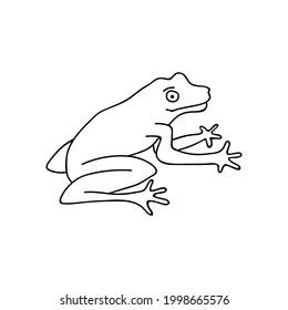 Single hand drawn frog. Funny toad. Doodle vector illustration. Isolated on a white background.