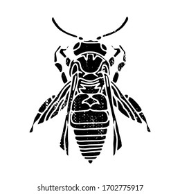 Single hand drawn glyph bee icon. Silhouette distressed vector illustration, isolated on white background. Design element for logo, print, packaging etc. 