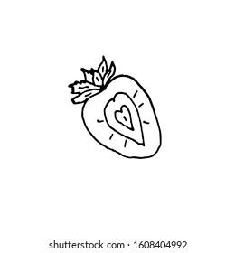 Single hand drawn half strawberries, Isolated on white background. Doodle vector illustration.