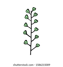 Single hand drawn herbal element on a white isolated background. Doodle, simple outline illustration.