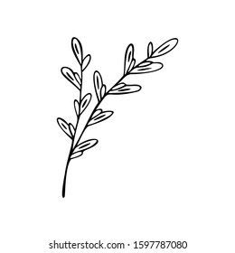 Single hand drawn herbal element on a white isolated background. Doodle, simple outline illustration.