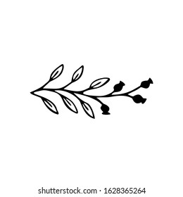 Single hand drawn herbal element on a white isolated background. Doodle, simple outline illustration.