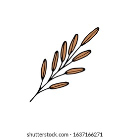 Single hand drawn herbal element on a white isolated background. Doodle, illustration simple outline.It can be used for decoration of textile, paper and other surfaces.