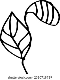 Single hand drawn herbal