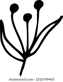Single hand drawn herbal elements. Doodle vector illustration for, logo and greeting card.