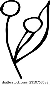 Single hand drawn herbal elements. Doodle vector illustration for, logo and greeting card.