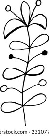Single hand drawn herbal elements. Doodle vector illustration for, logo and greeting card.