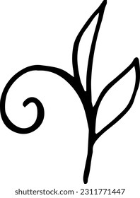 Single hand drawn herbal elements. Doodle vector illustration for, logo and greeting card.