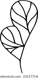 Single hand drawn herbal elements. Doodle vector illustration for, logo and greeting card.