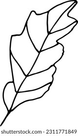 Single hand drawn herbal elements. Doodle vector illustration for, logo and greeting card.