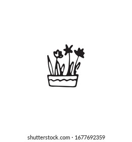 single hand drawn home plant in doodle style in vector. decorative home plants	