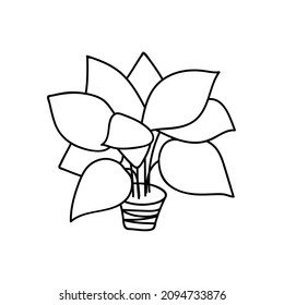 Single hand drawn houseplant. Doodles vector illustration.