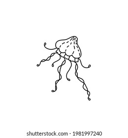 Single hand drawn jellyfish. Doodle vector illustration. Isolate on a white background. Underwater world for summer design