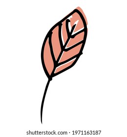 Single hand drawn leaf for autumn decoration. Doodle vector illustration. Isolated on white background

