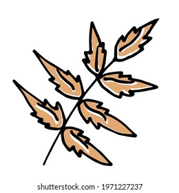 Single hand drawn leaf for autumn decoration. Doodle vector illustration. Isolated on white background
