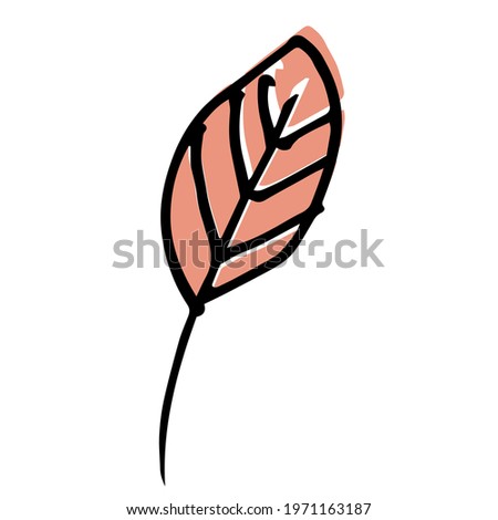 Single hand drawn leaf for autumn decoration. Doodle vector illustration. Isolated on white background
