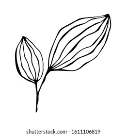 Single hand drawn leaf and branches for summer and spring decoration. Vector Simple green leaf tree elements.  Doodle vector illustration for design, logo, greeting card.