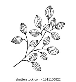Single hand drawn leaf and branches for summer and spring decoration. Vector Simple green leaf tree elements.  Doodle vector illustration for design, logo, greeting card.