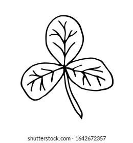 Single hand drawn  leaf . Doodle vector illustration. Floristic element for greeting cards, posters, stickers and seasonal design. Isolated on white background