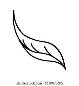 Hoja dibujada a mano. Ilustración vectorial Doodle para tarjetas de felicitación, carteles, pegatinas y diseño estacional.