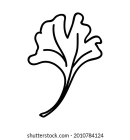 Single hand drawn leaf. Doodle vector illustration. Isolated on a white background.