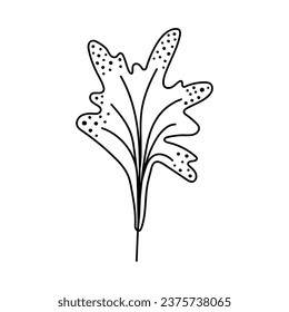Single hand drawn leaf. Doodle vector illustration. Isolated on a white background.