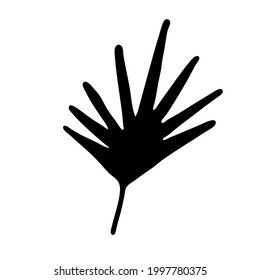 Single hand drawn leaf of plant. In doodle style, black outline isolated on white background. Design cute decorative element for card, poster, social media banner, sticker. Vector illustration.  