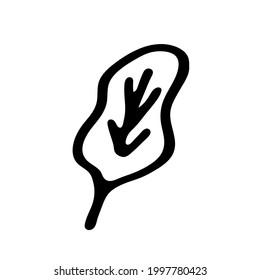 Single hand drawn leaf of plant. In doodle style, black outline isolated on white background. Design cute decorative element for card, poster, social media banner, sticker. Vector illustration.  