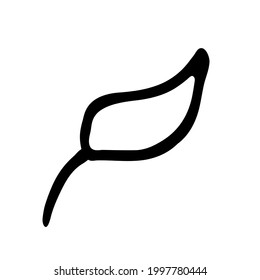 Single hand drawn leaf of plant. In doodle style, black outline isolated on white background. Design cute decorative element for card, poster, social media banner, sticker. Vector illustration.  