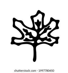 Single hand drawn leaf of plant. In doodle style, black outline isolated on white background. Design cute decorative element for card, poster, social media banner, sticker. Vector illustration.  
