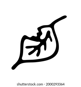 Single hand drawn leaf of plant. In doodle style, black outline isolated on white background. Design cute decorative element for card, poster, social media banner, sticker. Vector illustration.  